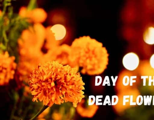 Day of the Dead Flowers: Meaning, Symbolism, and Tradition Day of the Dead Flowers