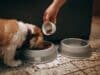 The Ultimate Guide to Feeding Your Dog Ultimate Guide to Feeding Your Dog