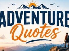 120 Best Adventure Quotes for Travel, Life & Instagram Inspiration Adventure Quotes