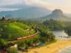 Best Places to Visit in Sri Lanka: 15 Incredible Destinations for an Unforgettable Adventure Best Places to Visit in Sri Lanka