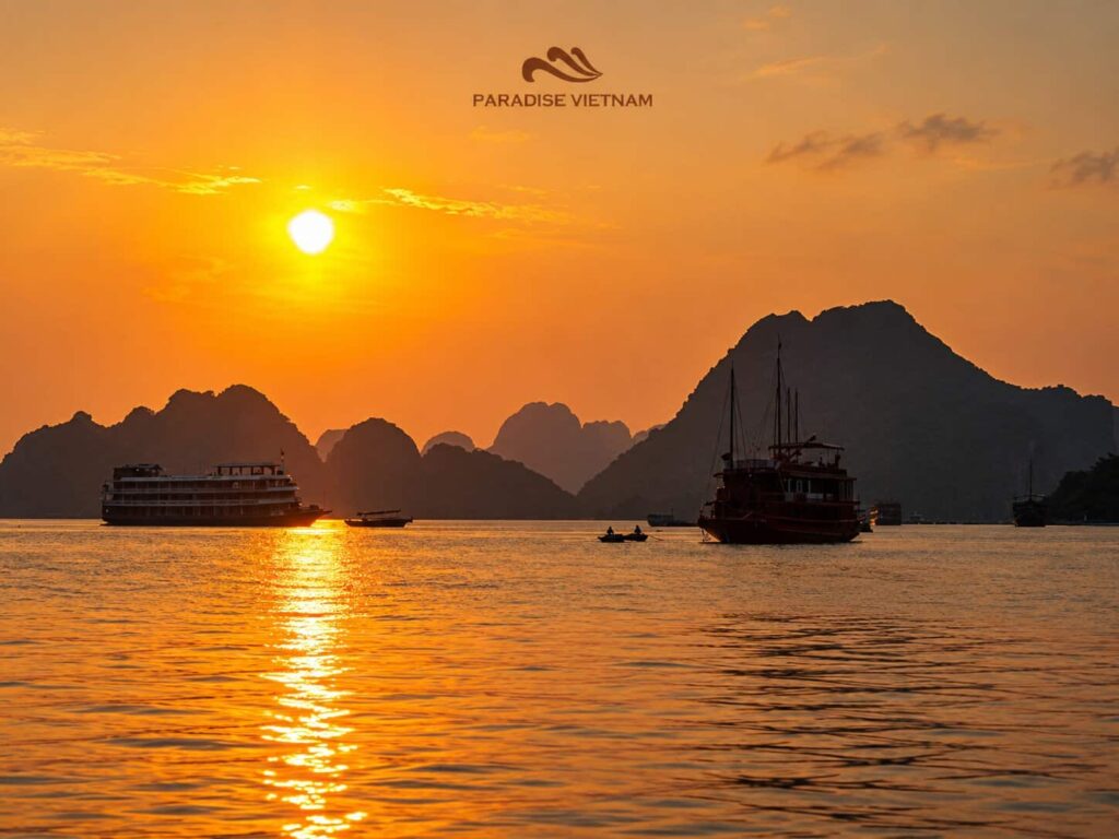 Halong bay day cruises 